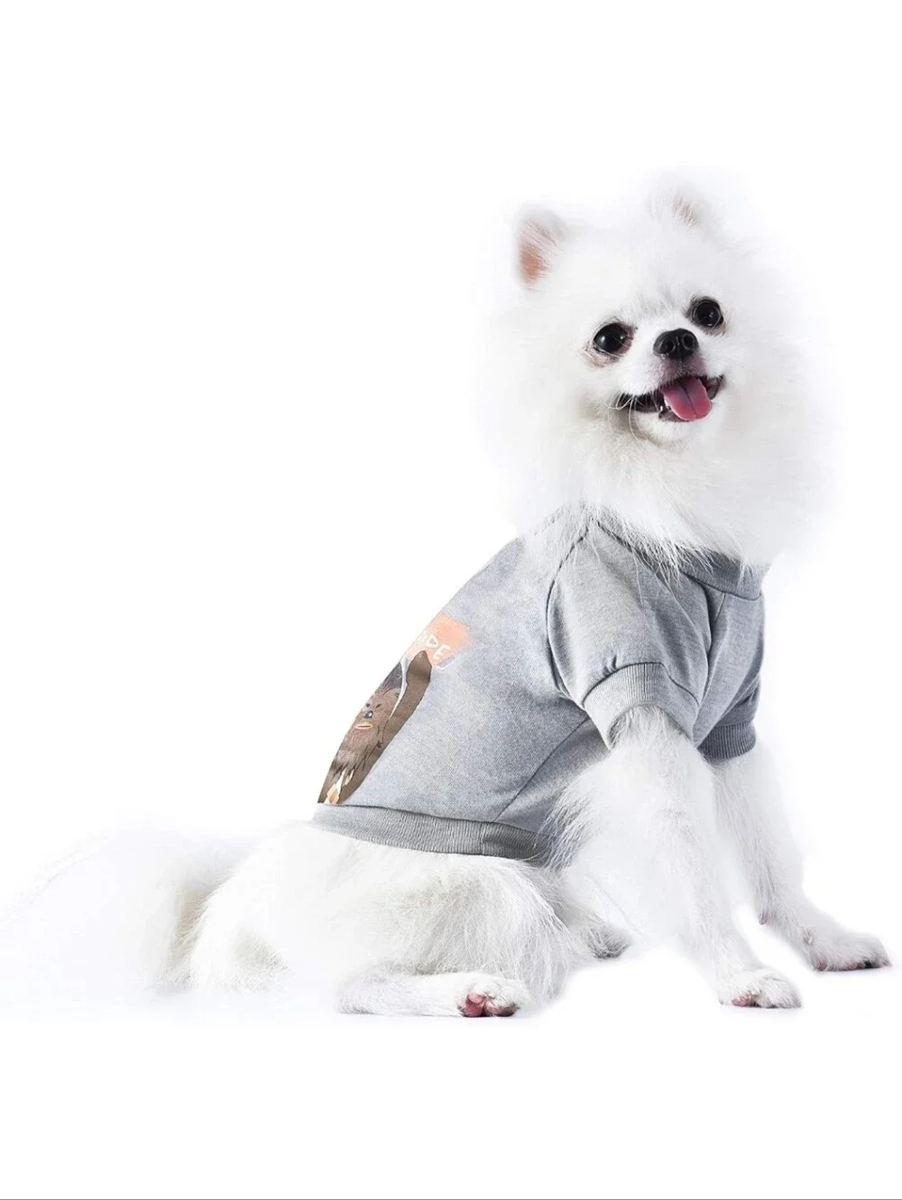 Dogs' Grey 'Fluffy Side' Chewbacca Graphic Tee